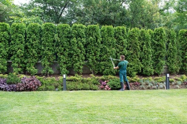 Lawn Pest Prevention in Moriches, NY